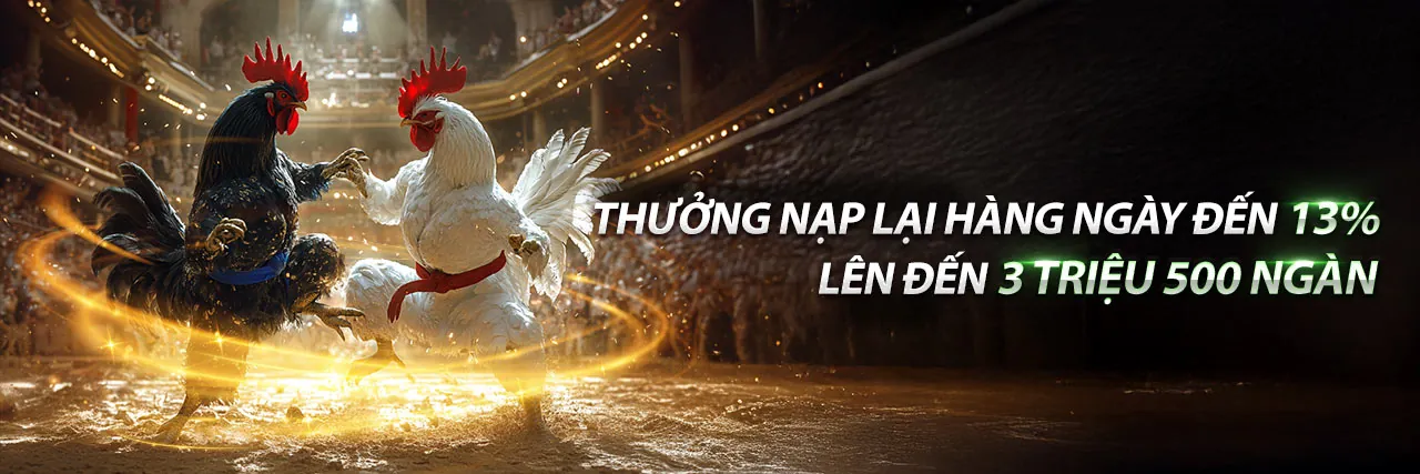 Sân vận động bóng đá với khán giả cổ vũ, biểu tượng cá cược thể thao OK9